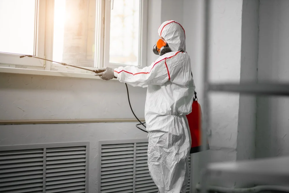 Professional mold remediation services in Westover, AL